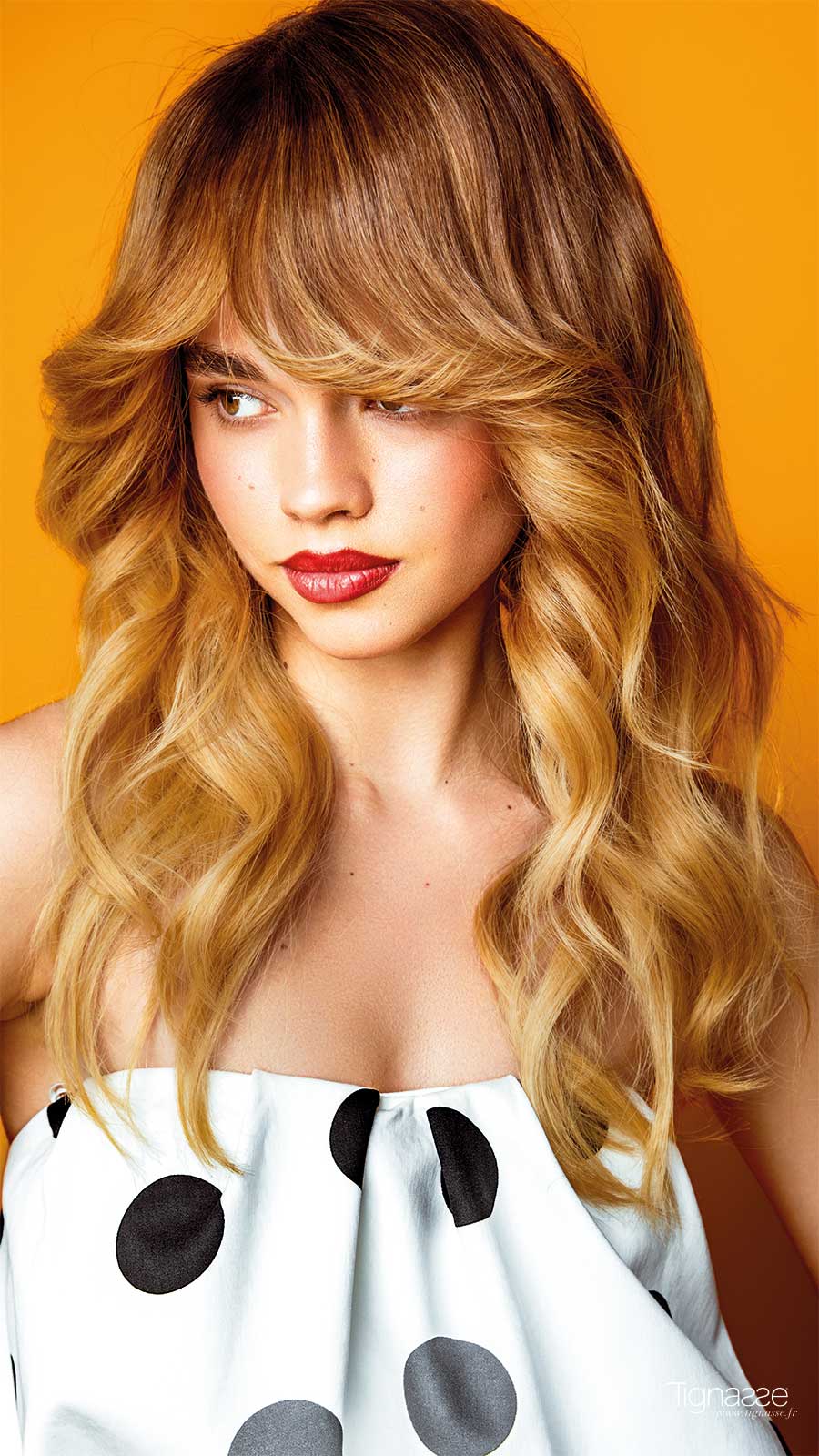 Kakemono standard T22-KS22-016